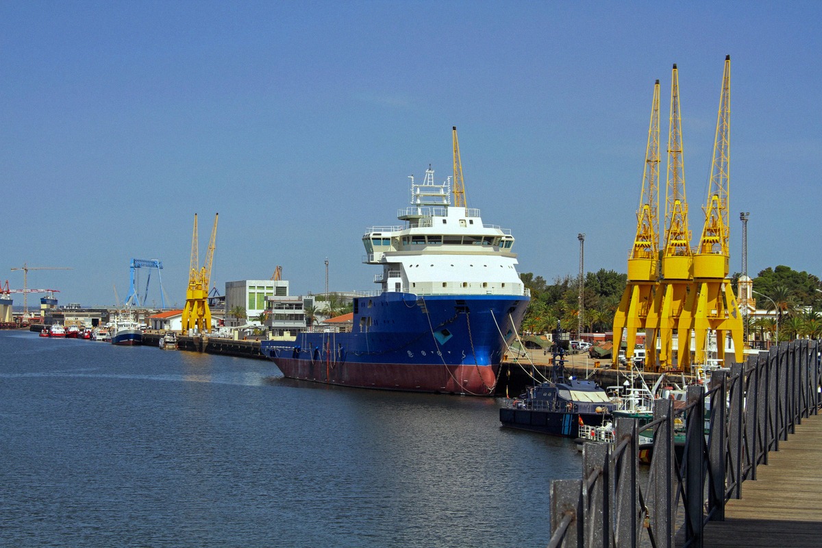 El puerto de Huelva desde el Muelle del Tinto, con un buque de carga y grúas portuarias